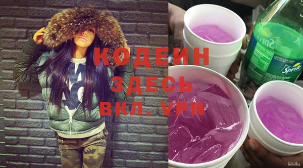 индика Михайловск