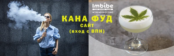 индика Михайловск