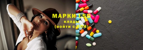 индика Михайловск