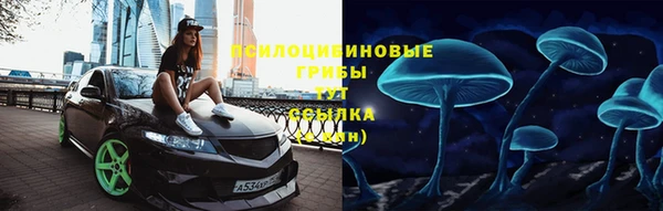 индика Михайловск