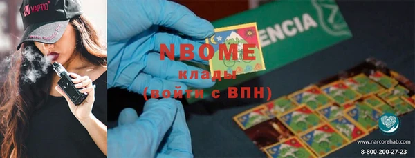 индика Михайловск