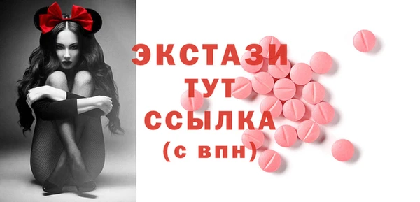 индика Михайловск