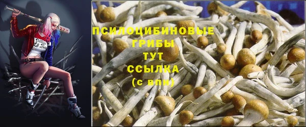 гашиш Михайлов
