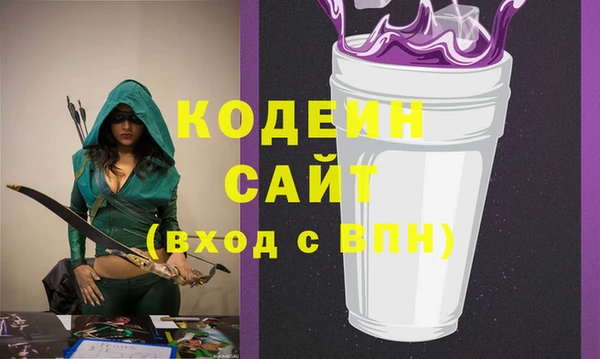индика Михайловск