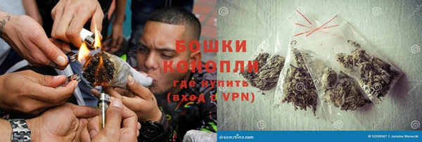 индика Михайловск