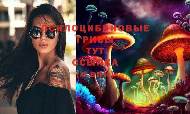 купить наркотик  Безенчук  мега ССЫЛКА  Галлюциногенные грибы Psilocybe 